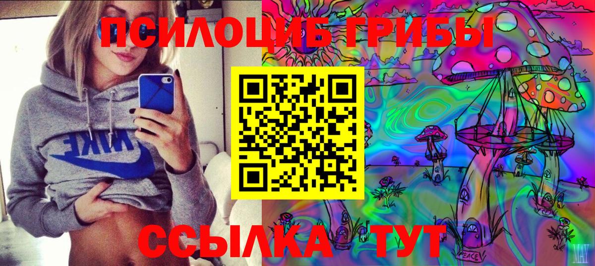 Псилоцибиновые грибы GOLDEN TEACHER Кисловодск