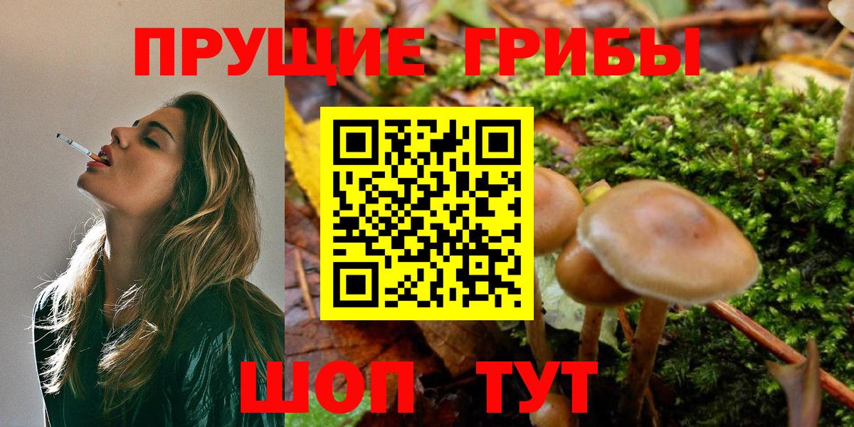 Кисловодск  Галлюциногенные грибы прущие грибы  Галлюциногенные грибы Magic Shrooms  Вход с VPN 